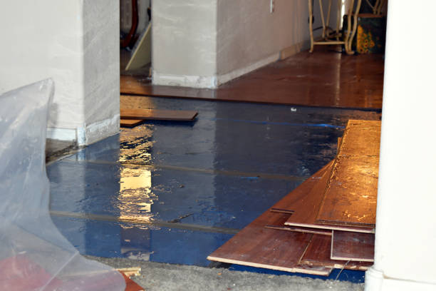 Professional Water Extraction technician working in Fremont, MI