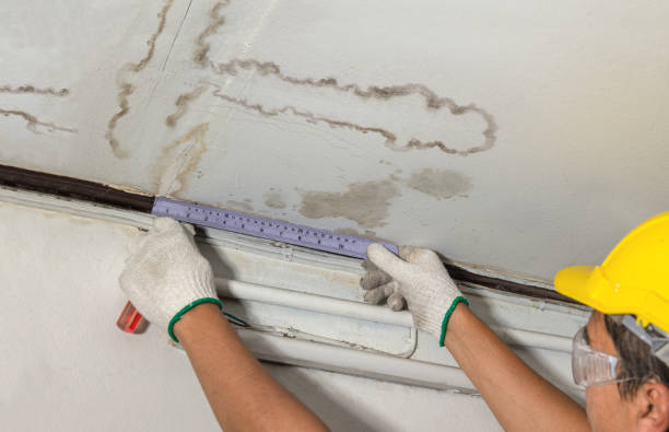 Reliable Water Extraction contractor in Fremont, MI by Water Damage Irwin